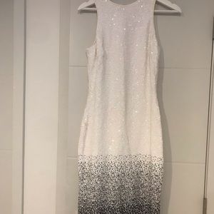 Dress The Population Sparkly Ombré